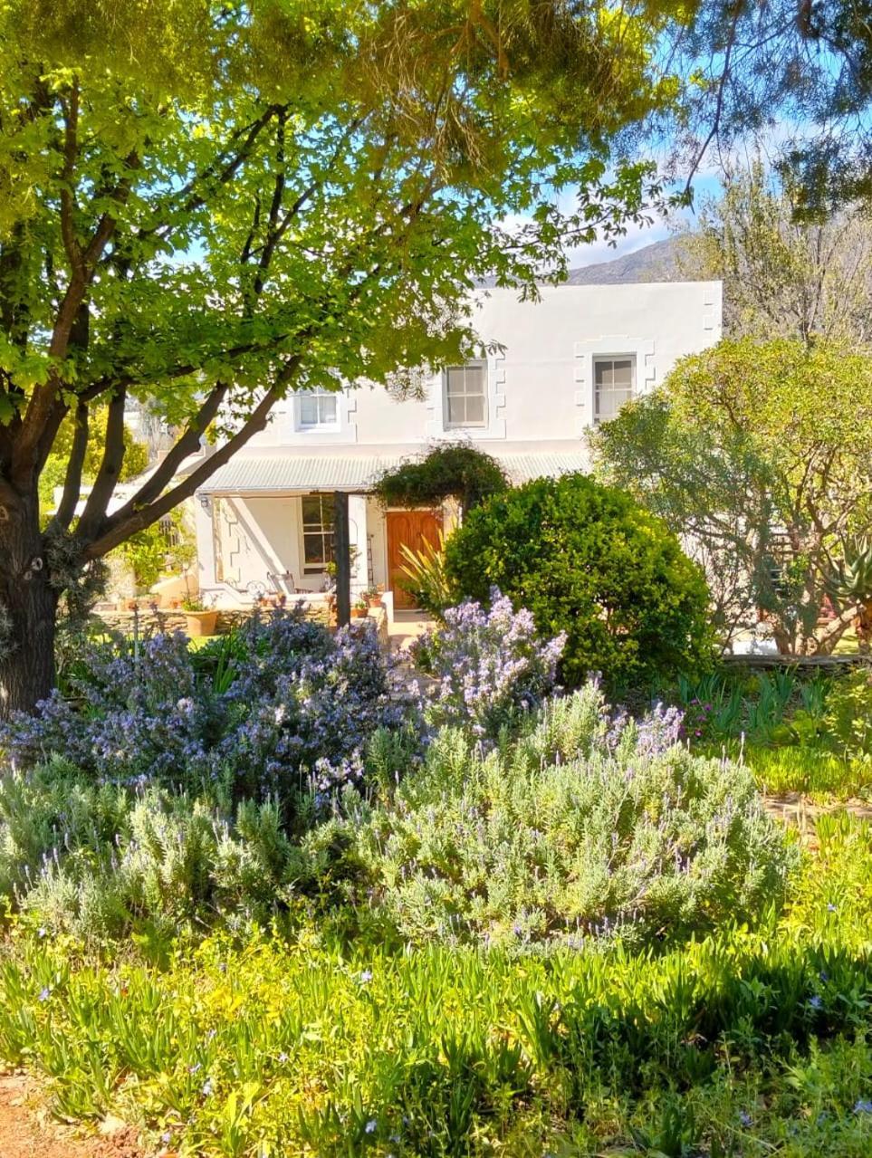 The Whitehouse Bed & Breakfast Barrydale Exterior photo